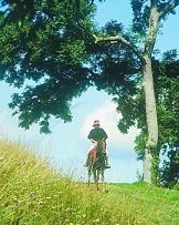Isle of Wight horse riding